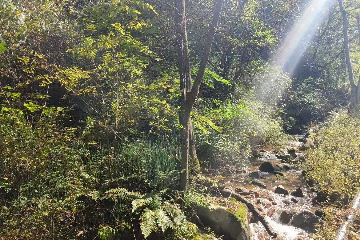 Tiantai Mountain
